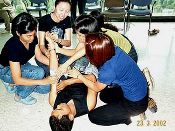 mgi081.jpg