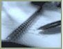 reportpic.gif